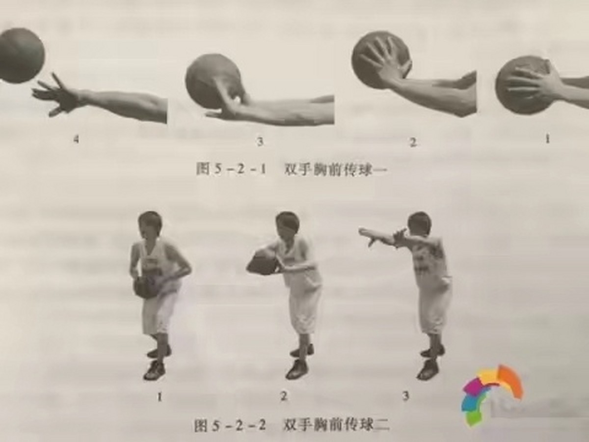 女性篮球运动员适用的特殊训练策略有哪些_1